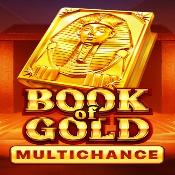 Book of Gold Multichance logo – Slots by Playson at Flaksi Casino